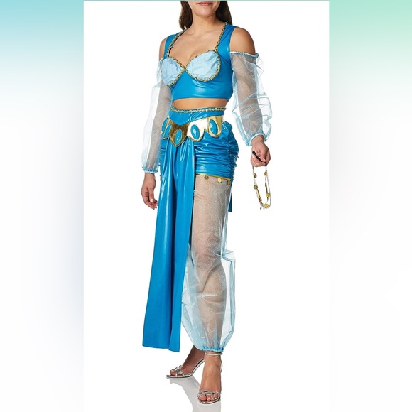 California Costumes Arabian Princess Adult Womens Costume Size Large - Picture 1 of 4